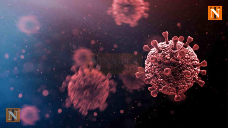 COVID-19 Cases Climb to 56 in Maharashtra Amid New Variant Fears